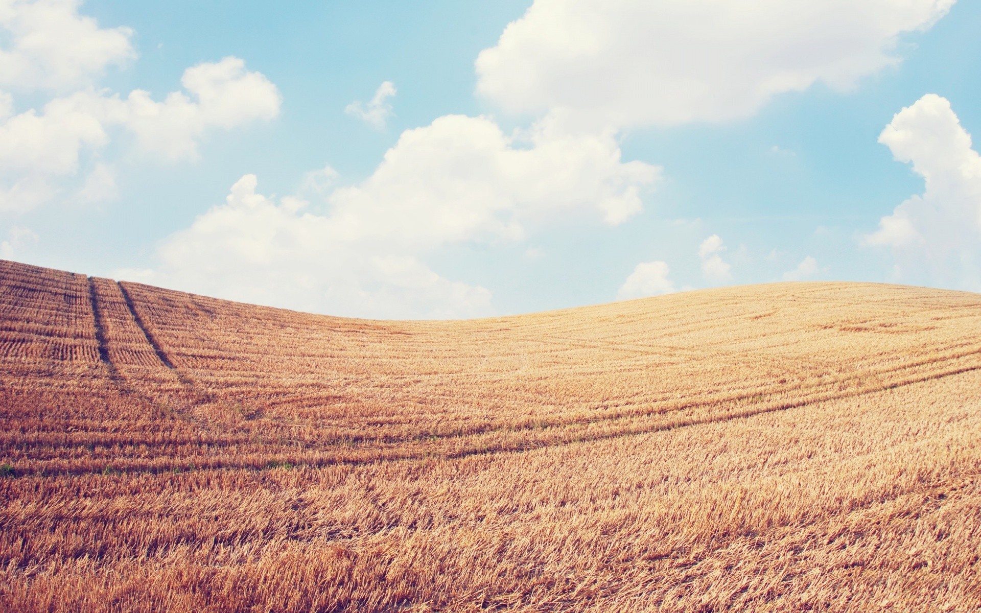 summer landscape nature dry agriculture outdoors soil sky desert farm field