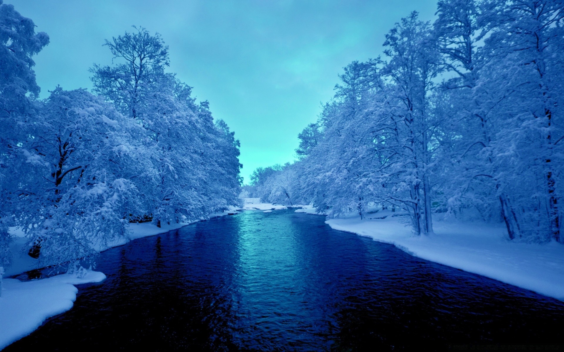 winter water snow landscape tree scenic nature cold travel outdoors wood ice lake