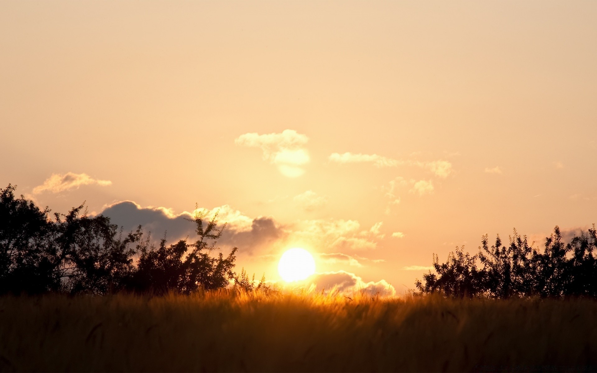 verano puesta de sol amanecer paisaje sol noche niebla árbol cielo crepúsculo iluminado naturaleza luz silueta buen tiempo al aire libre niebla otoño campo