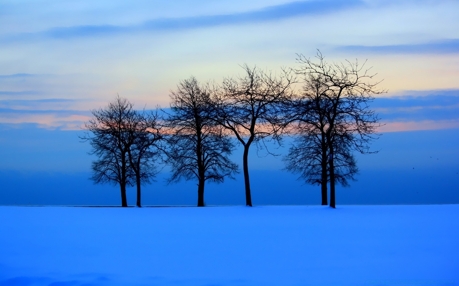 hiver arbre paysage nature ciel bois aube soleil dehors branche météo beau temps silhouette saison scénique lumière froid solitude