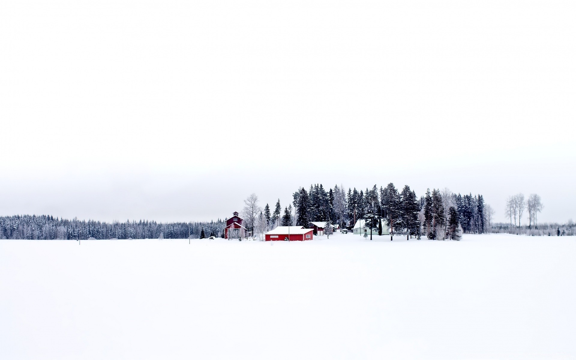 winter schnee kalt frost wetter gefroren nebel holz eis holz landschaft schneesturm frostig natur