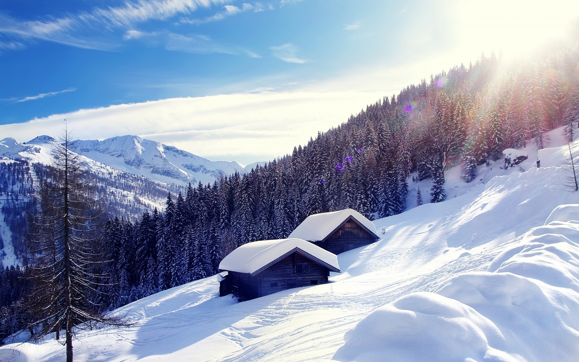 hiver neige froid montagnes bois scénique glace gel paysage station congelé neigeux colline pic de montagne météo bois alpine saison