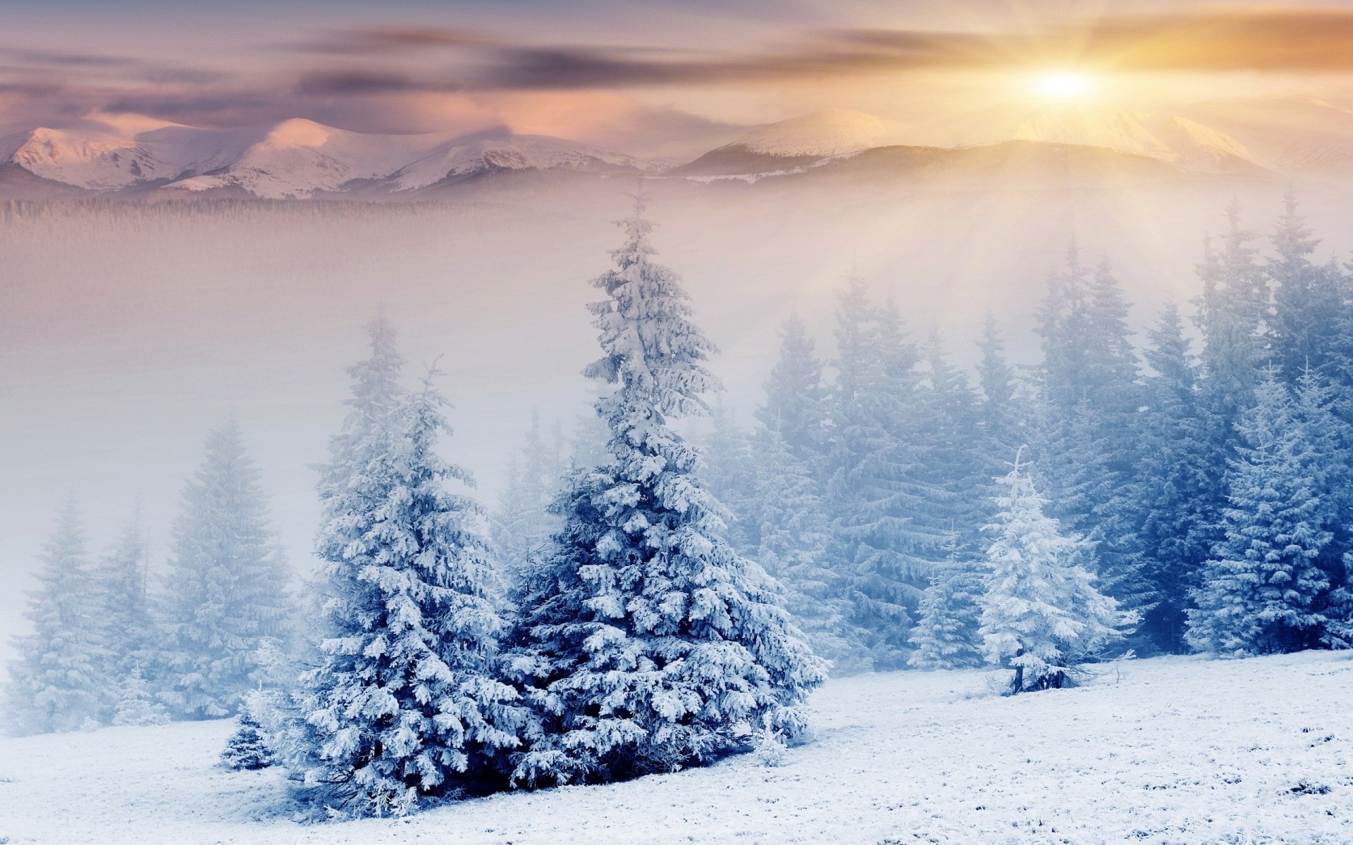 invierno nieve frío escarcha hielo congelado paisaje naturaleza niebla tiempo montaña madera amanecer escénico buen tiempo al aire libre temporada helada cielo