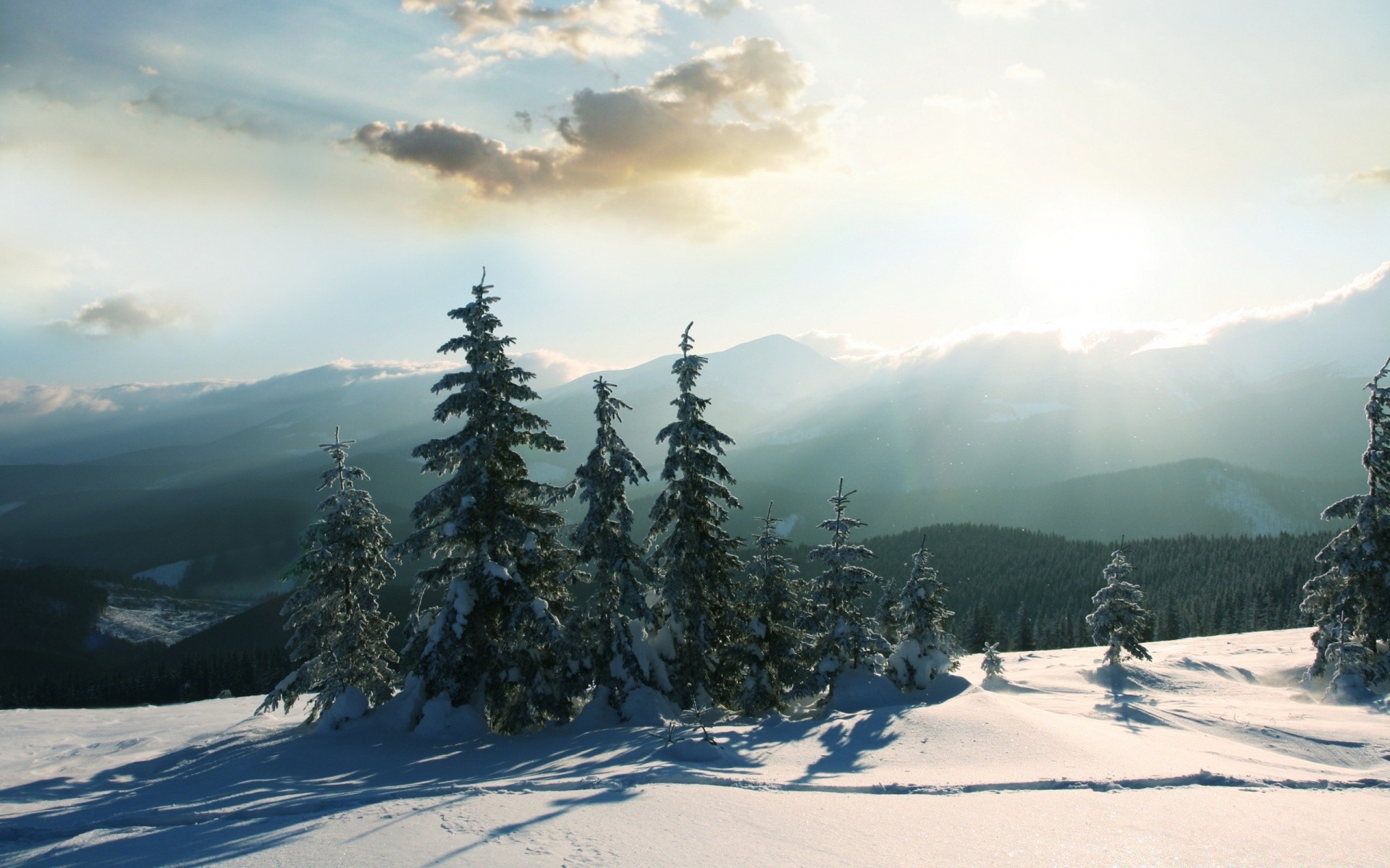 inverno neve montagna paesaggio freddo legno nebbia evergreen scenic collina albero valle picco di montagna ghiaccio meteo conifere congelati gelo