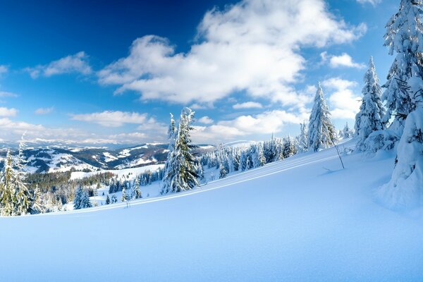 Champ dans la neige des montagnes pittoresques