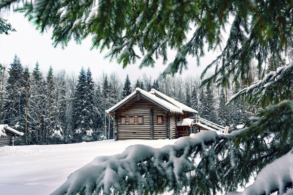 A house covered with snow in the forest