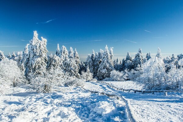 Hiver, jour glacial, tout dans la glace