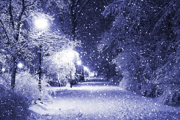 Schneefall im Nachtpark mit Laternen