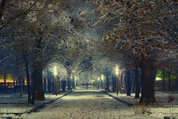 Bulevar cubierto de nieve y luz de linternas en la noche