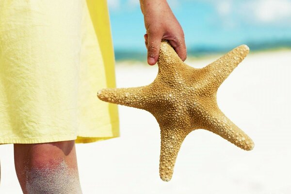 Menina com estrela do mar na praia