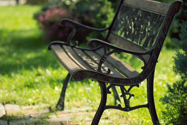 Wrought iron bench in the park