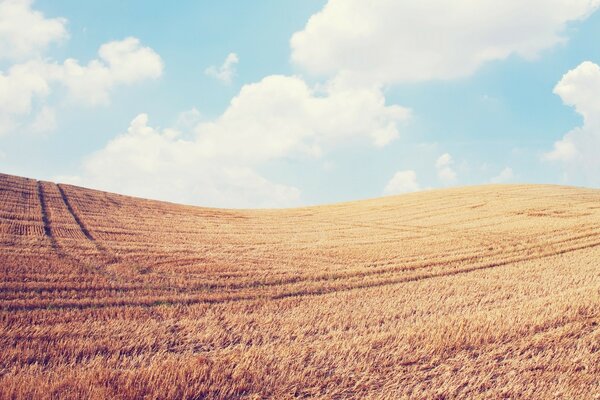 Bela paisagem, um campo no fundo das nuvens