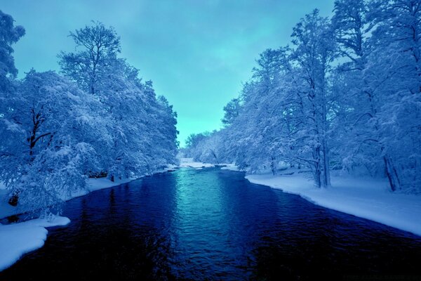 Paisaje de invierno, en medio del agua, a los lados de los árboles en la nieve