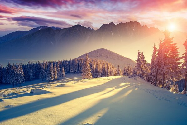 Dawn on the background of snowy mountains and forests