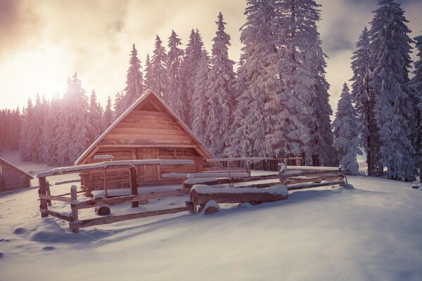 Case di legno invernali sotto la neve