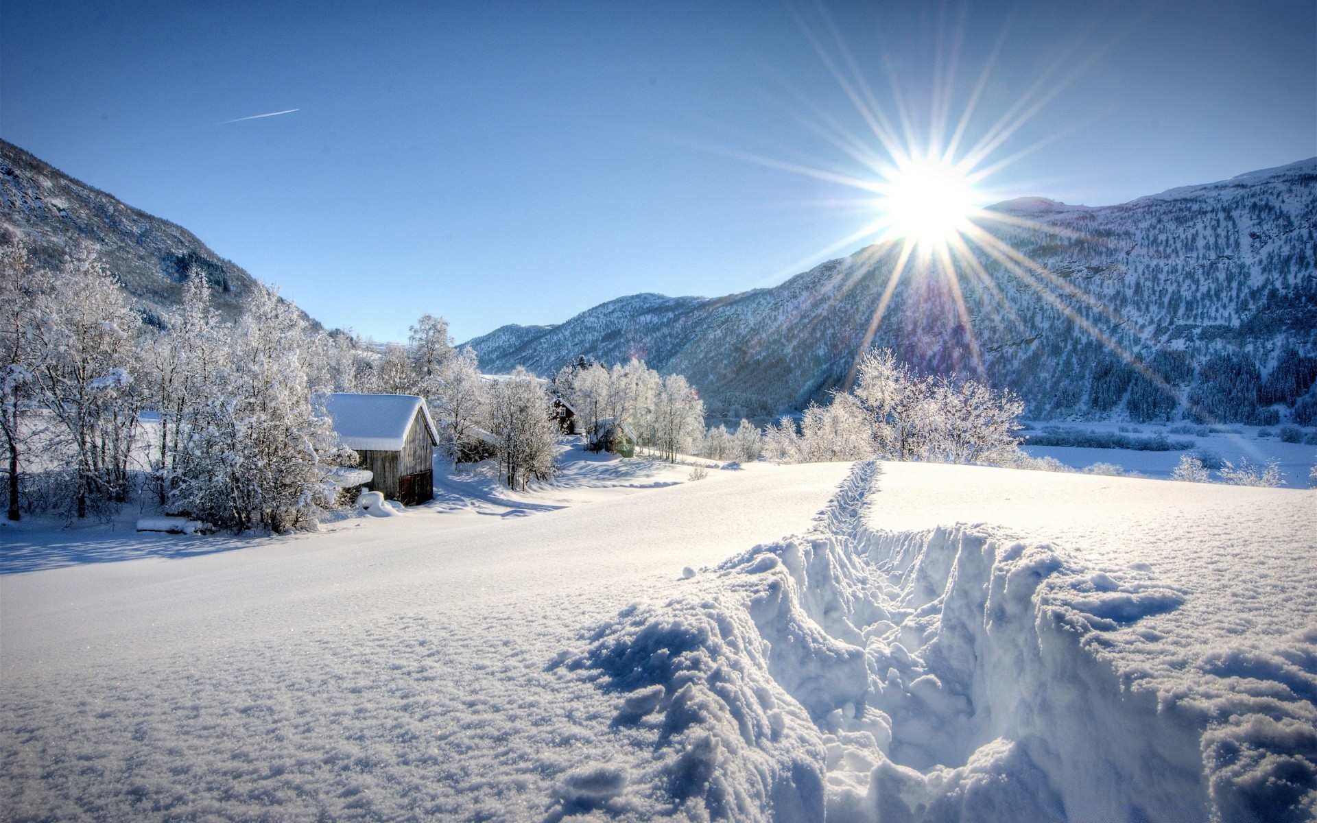 hiver neige froid montagnes glace paysage gel congelé scénique nature bois bois beau temps saison voyage ciel à l extérieur