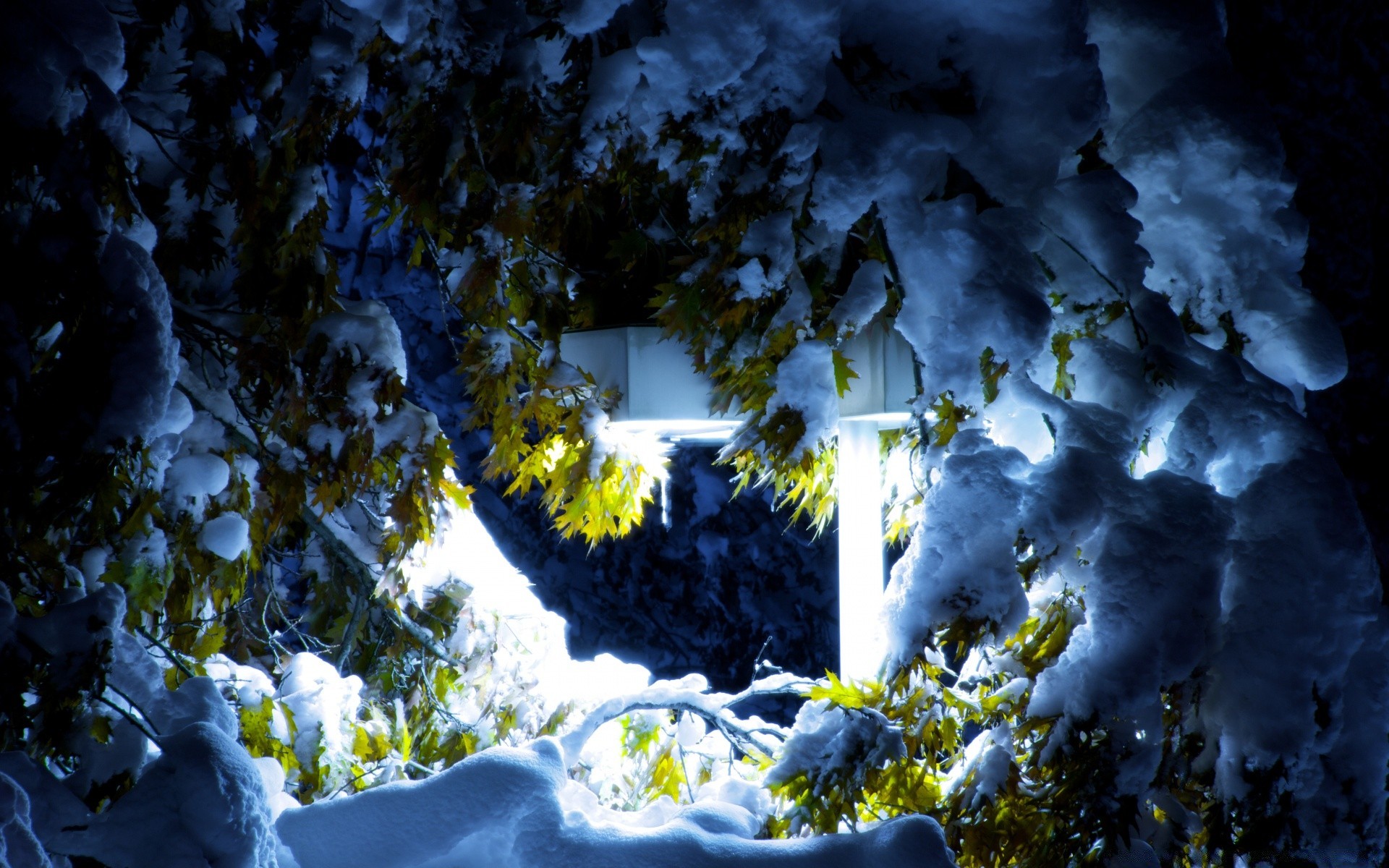 inverno ao ar livre árvore paisagem água luz do dia natureza