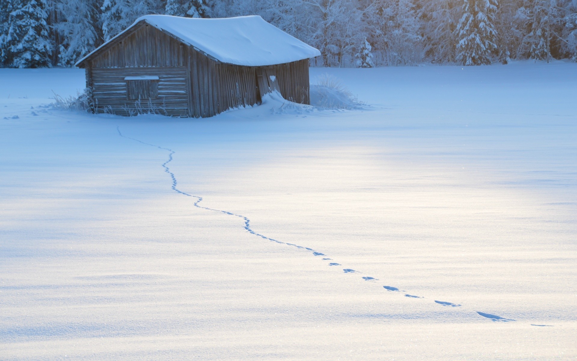 winter snow cold frozen ice frost landscape weather hut outdoors frosty house storm nature wood sky light water scenic