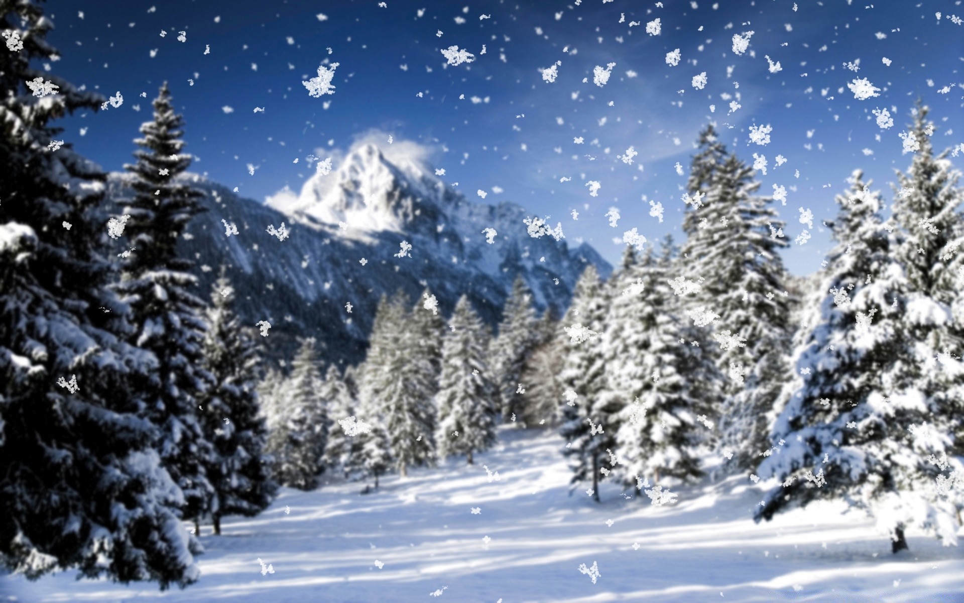 winter snow cold mountain wood snowy season evergreen fir frost frozen scenic ice mountain peak conifer tree spruce landscape alpine resort