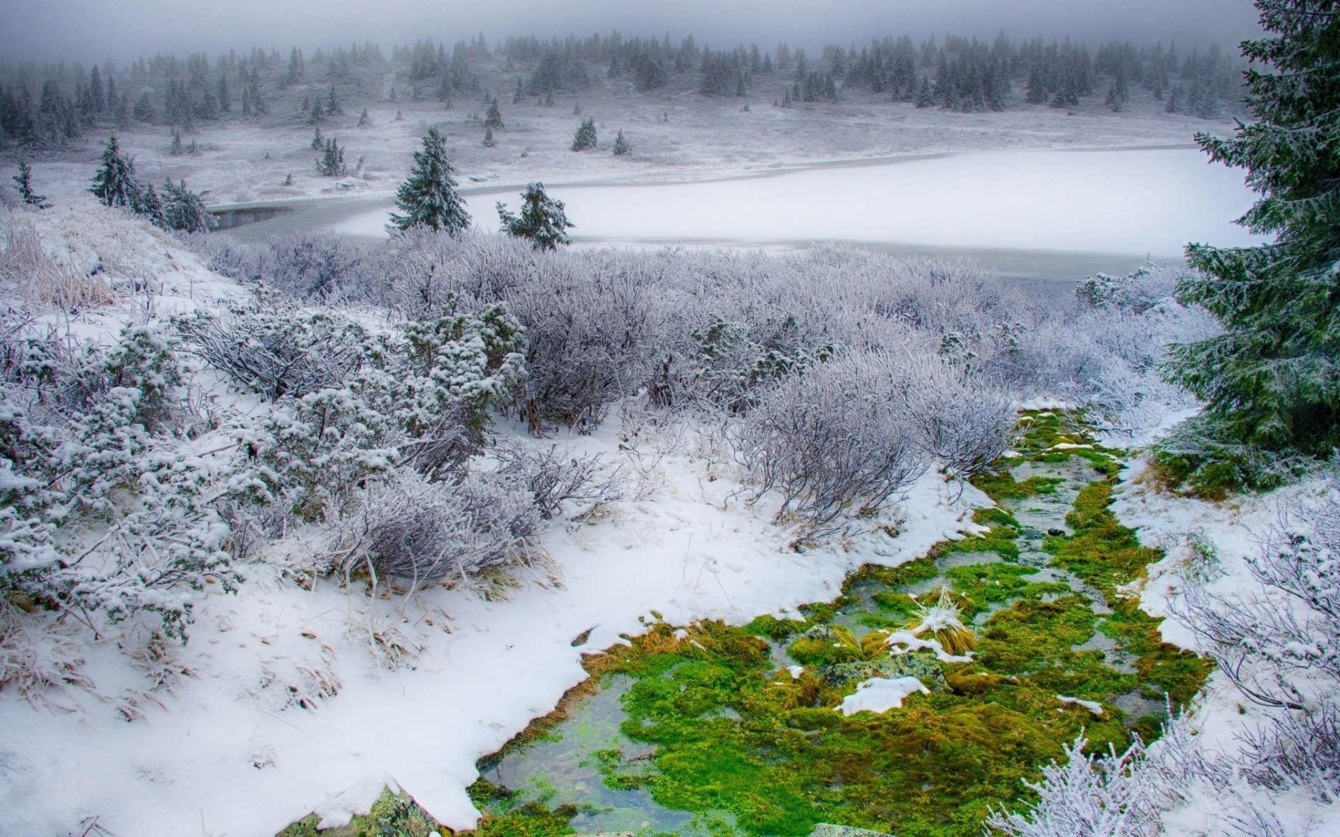 inverno paisagem natureza neve água madeira madeira ao ar livre rio frio cênica temporada viagem cena tempo quarta-feira geada gelo parque