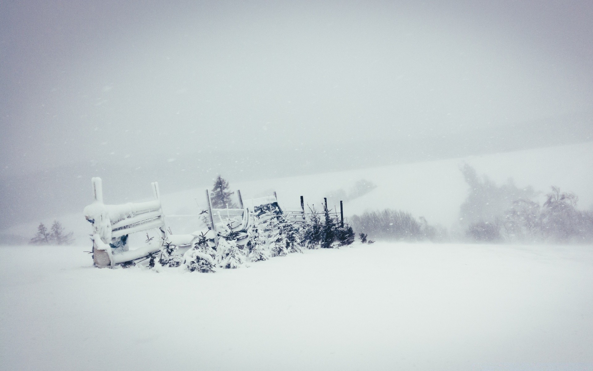 inverno neve frio congelado tempo gelo geada névoa paisagem gelado nevasca natal árvore tempestade montanhas