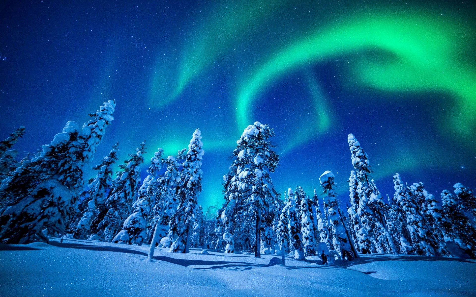 winter schnee kälte weihnachten licht mond natur