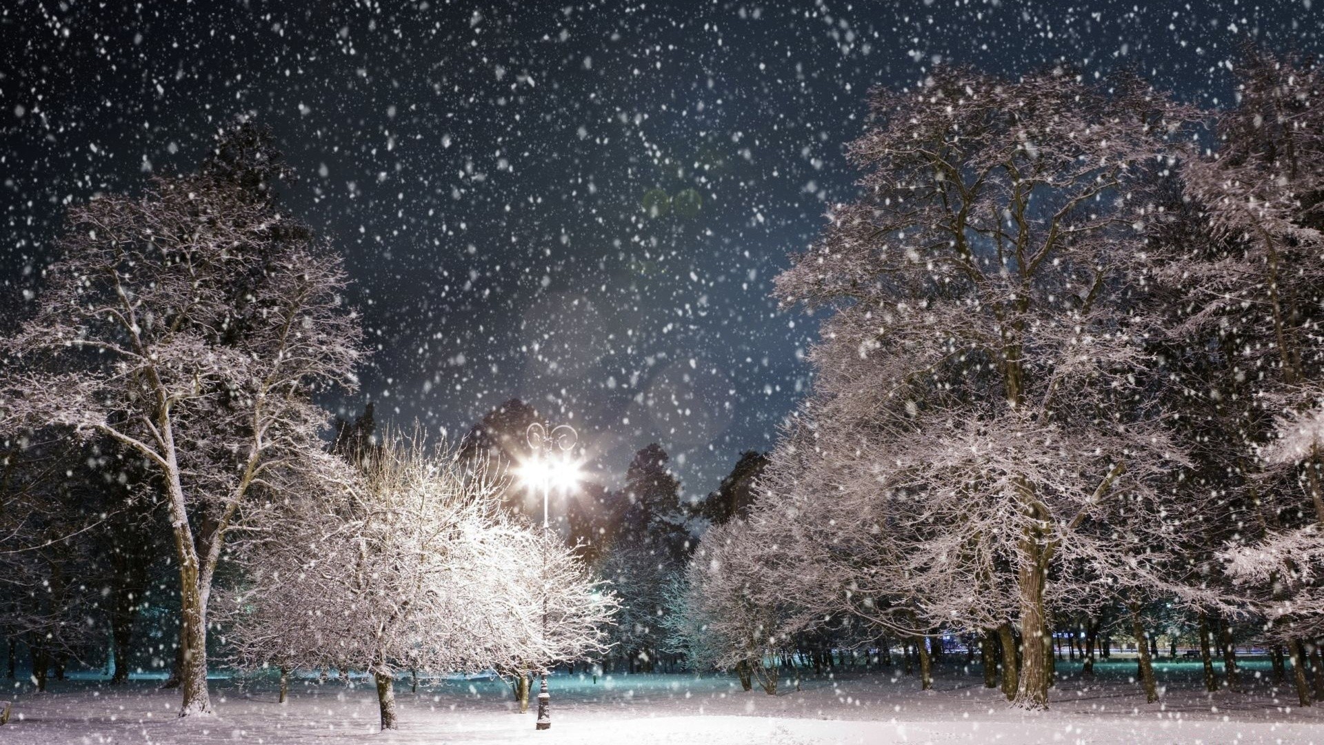 winter snow tree cold ice season frozen weather frost landscape snowstorm nature light desktop park wood outdoors sky