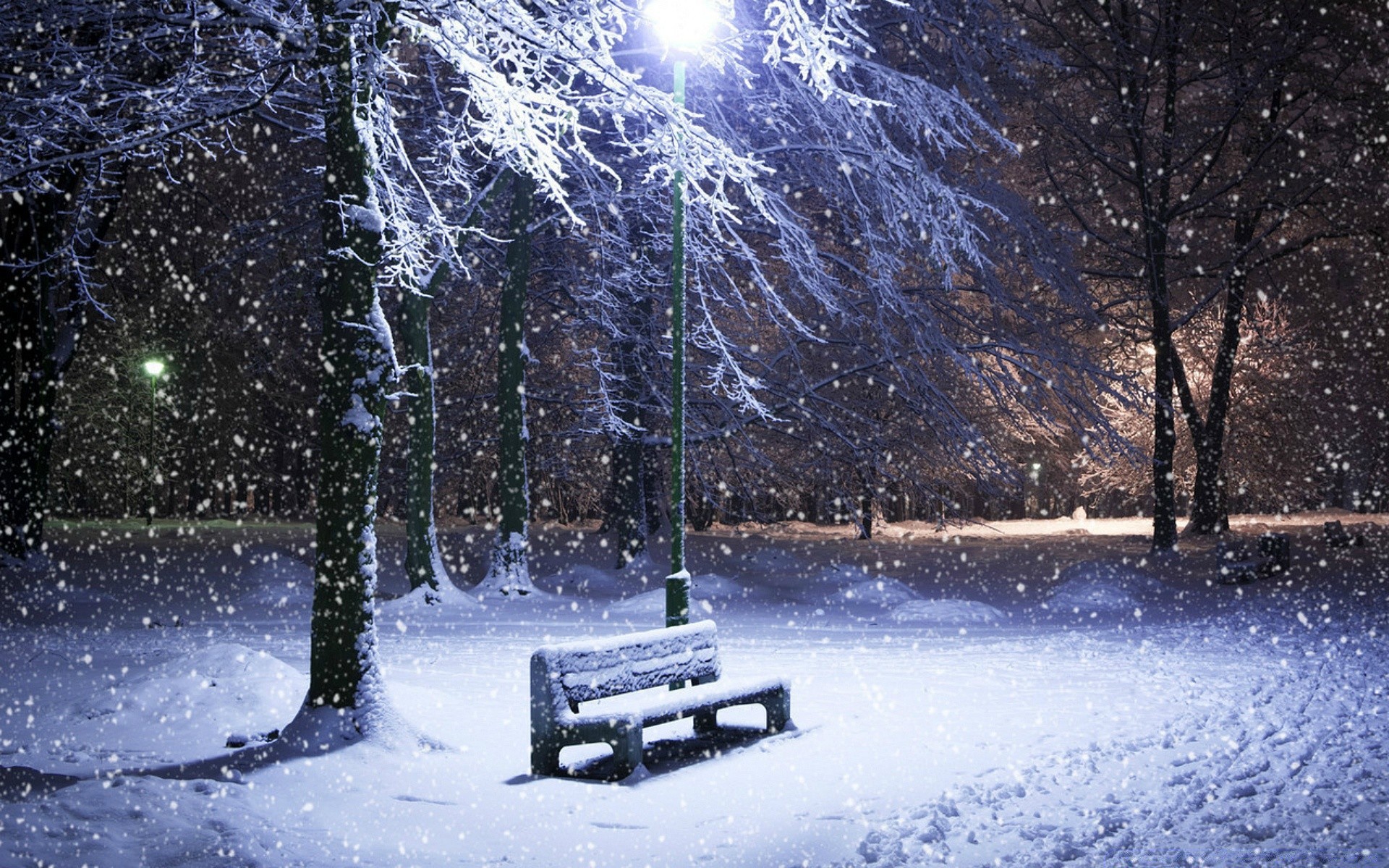 inverno neve freddo congelato gelo ghiaccio albero tempo stagione tempesta di neve paesaggio legno natale luce neve-bianco natura ghiacciato gelido