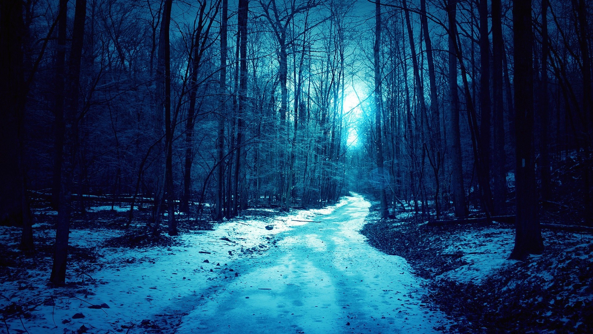 winter holz holz landschaft schnee licht natur kälte nebel schatten dämmerung eis wasser park