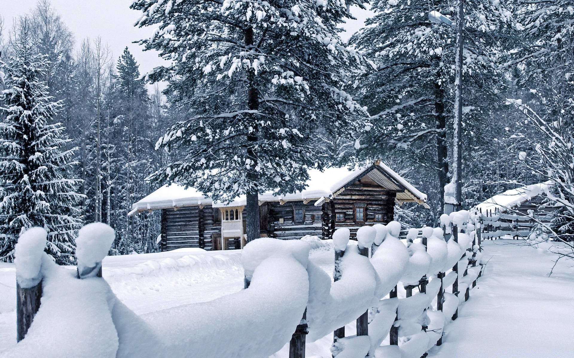 winter schnee holz kälte holz berge resort landschaftlich im freien landschaft frost