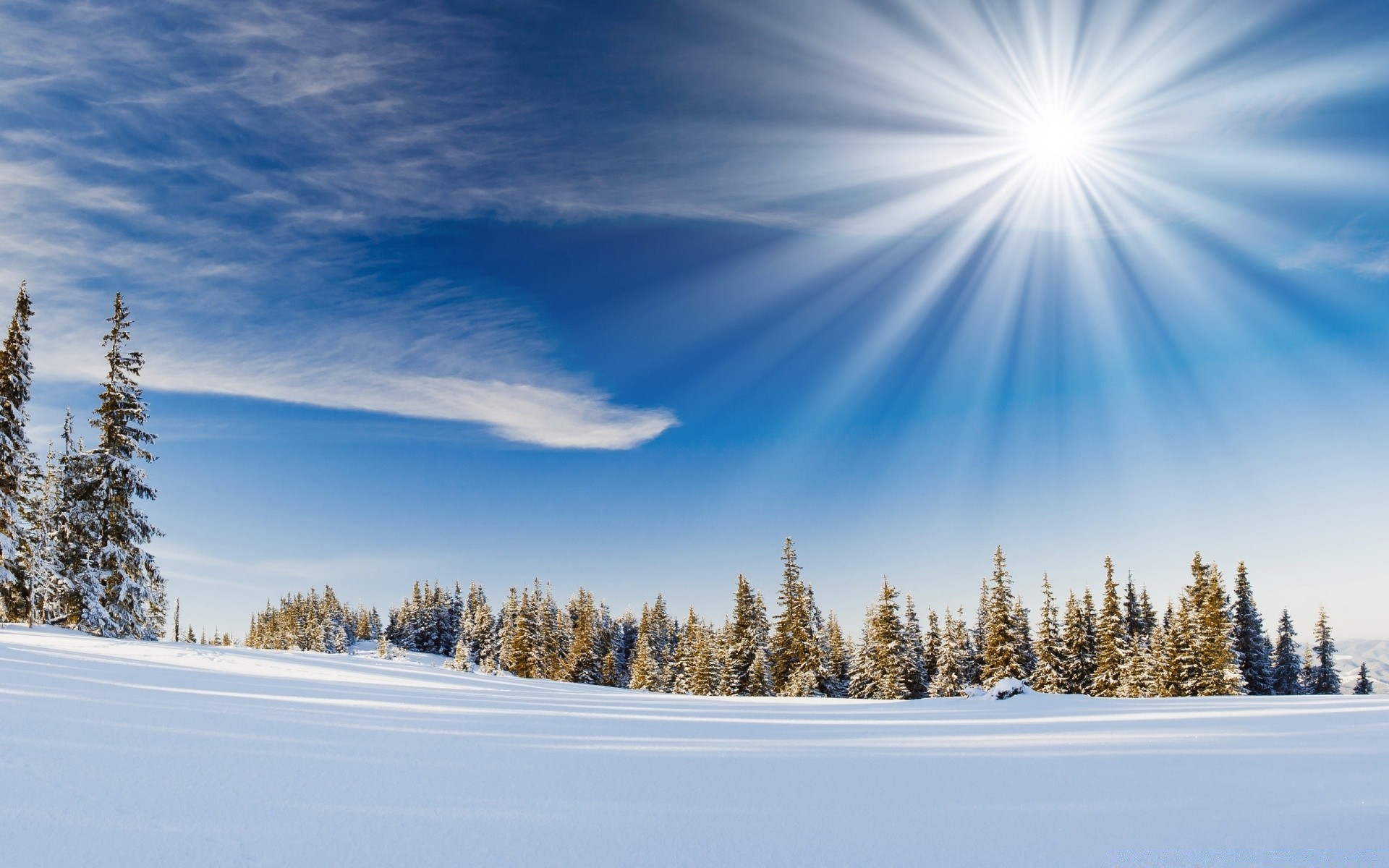 winter schnee kälte holz frost holz eis gutes wetter wetter landschaft gefroren landschaftlich saison natur dämmerung berge evergreen