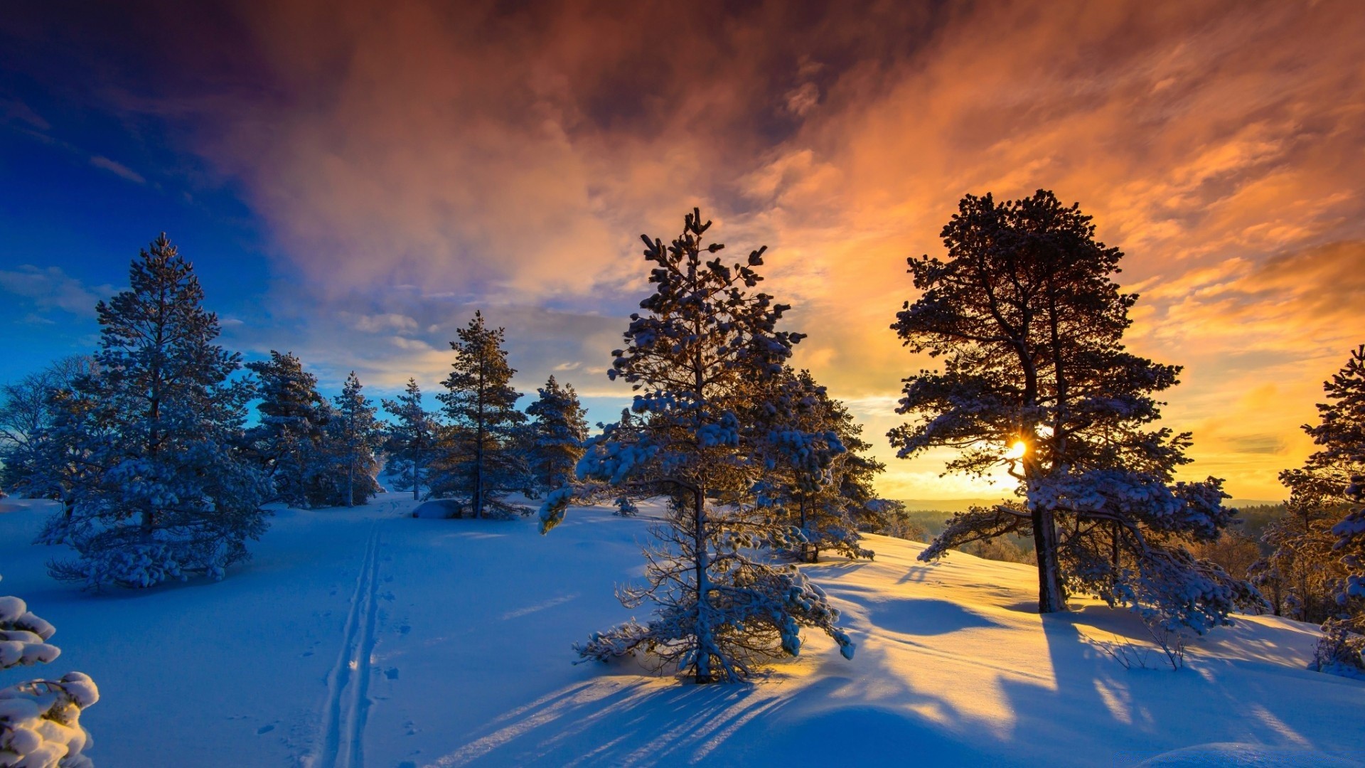 inverno neve madeira madeira paisagem ao ar livre amanhecer natureza bom tempo cênica frio céu evergreen geada pôr do sol noite coníferas plesid