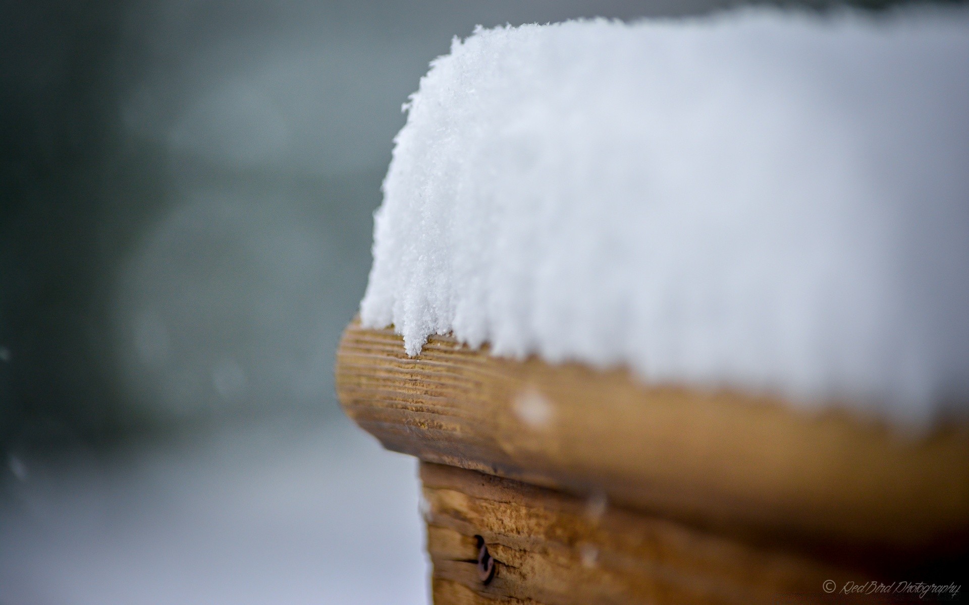 inverno borrão madeira ainda vida neve natureza ao ar livre