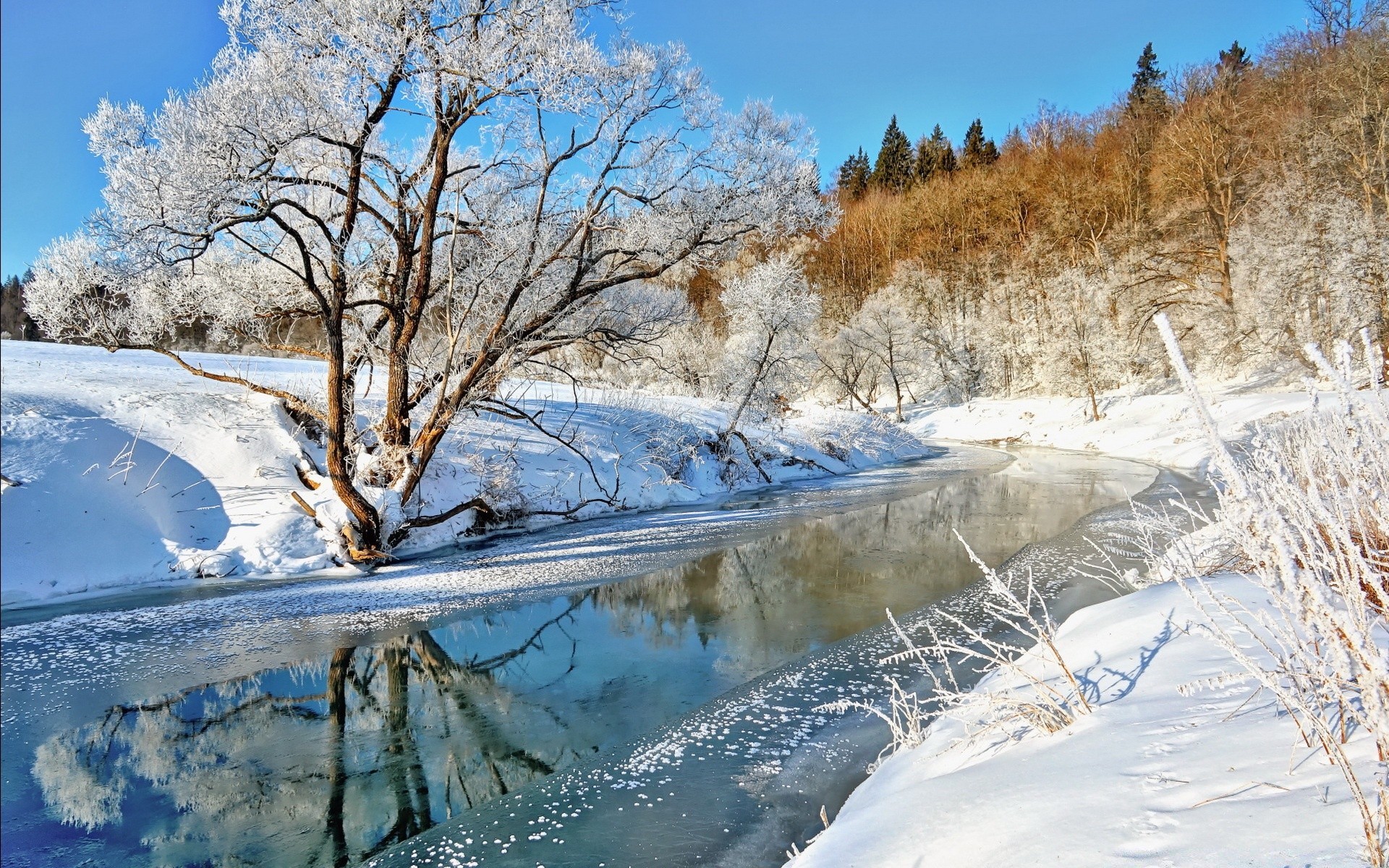 hiver neige froid gel congelé glace paysage bois bois nature saison scénique météo scène neige-blanc à l extérieur glacial beau temps givré