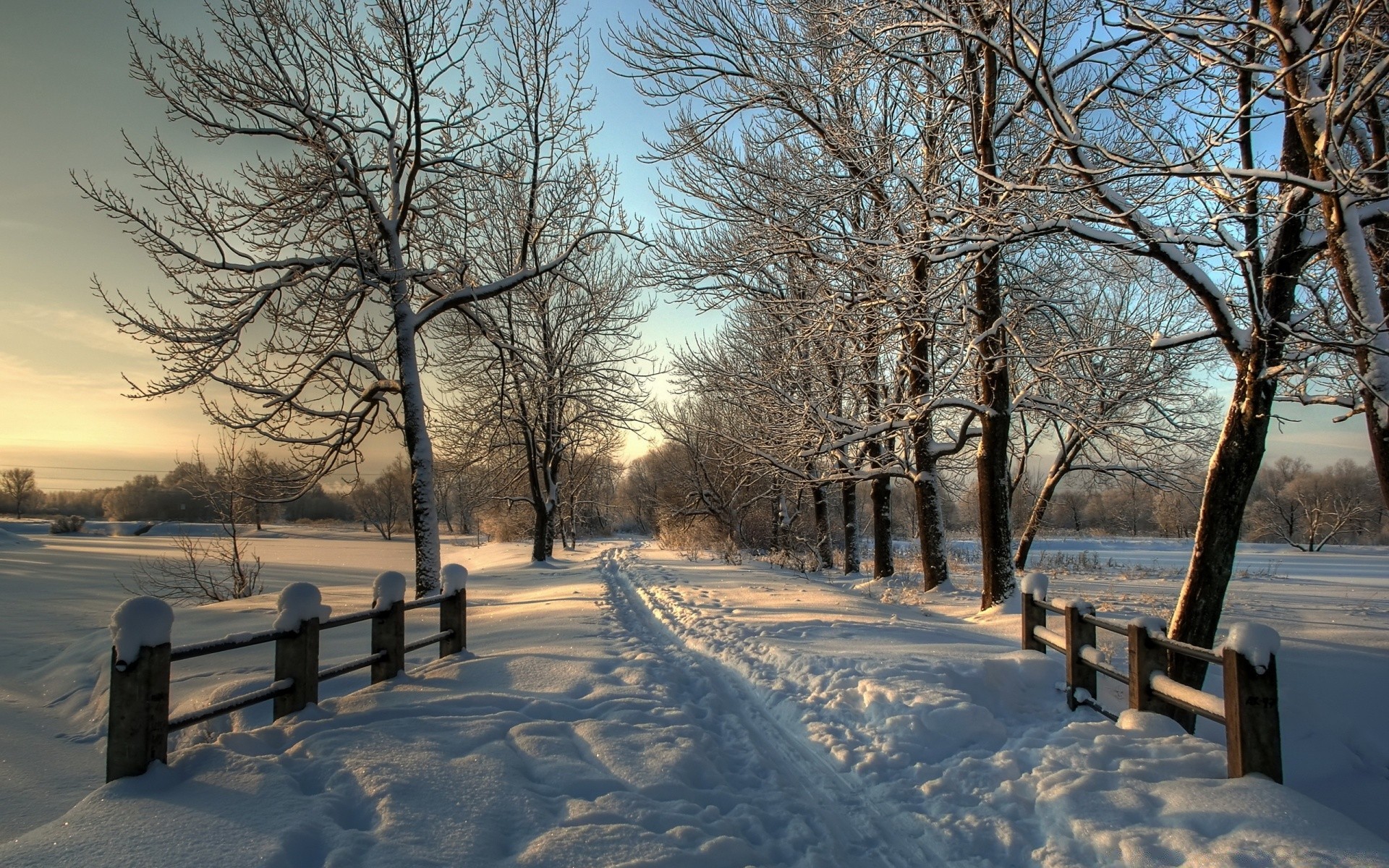 winter snow cold frost tree frozen landscape ice wood weather dawn fog park season bench branch nature snowstorm road