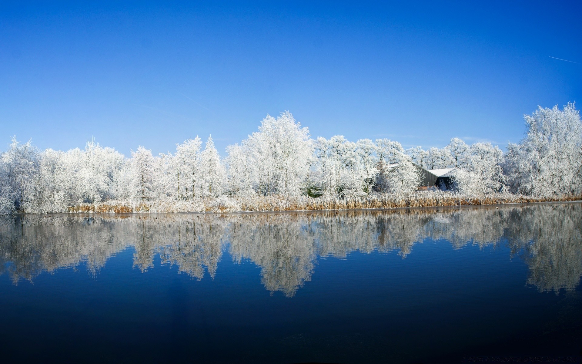 inverno neve gelo freddo natura stagione paesaggio ghiaccio legno congelato riflessione luminoso cielo acqua tempo