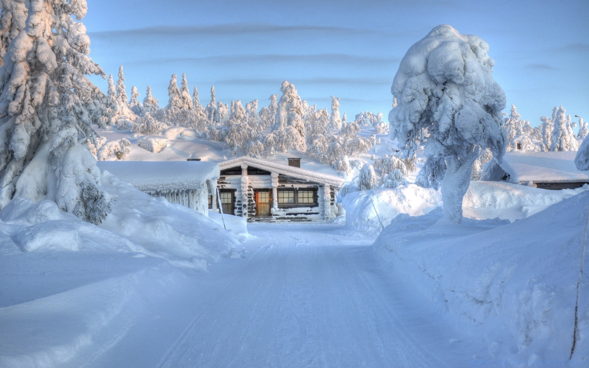 hiver neige froid glace congelé montagnes gel bois scénique météo neigeux station paysage saison neige lumière du jour