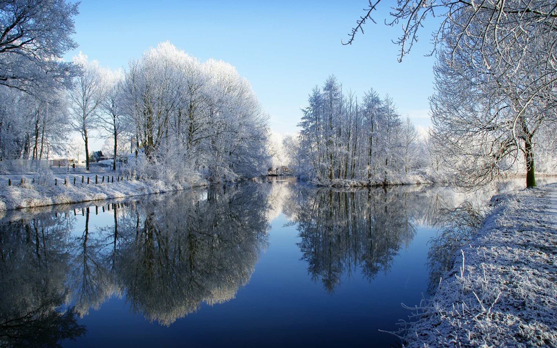 inverno neve freddo gelo paesaggio legno legno natura congelato ghiaccio stagione tempo alba bel tempo all aperto riflessione acqua cielo scenico