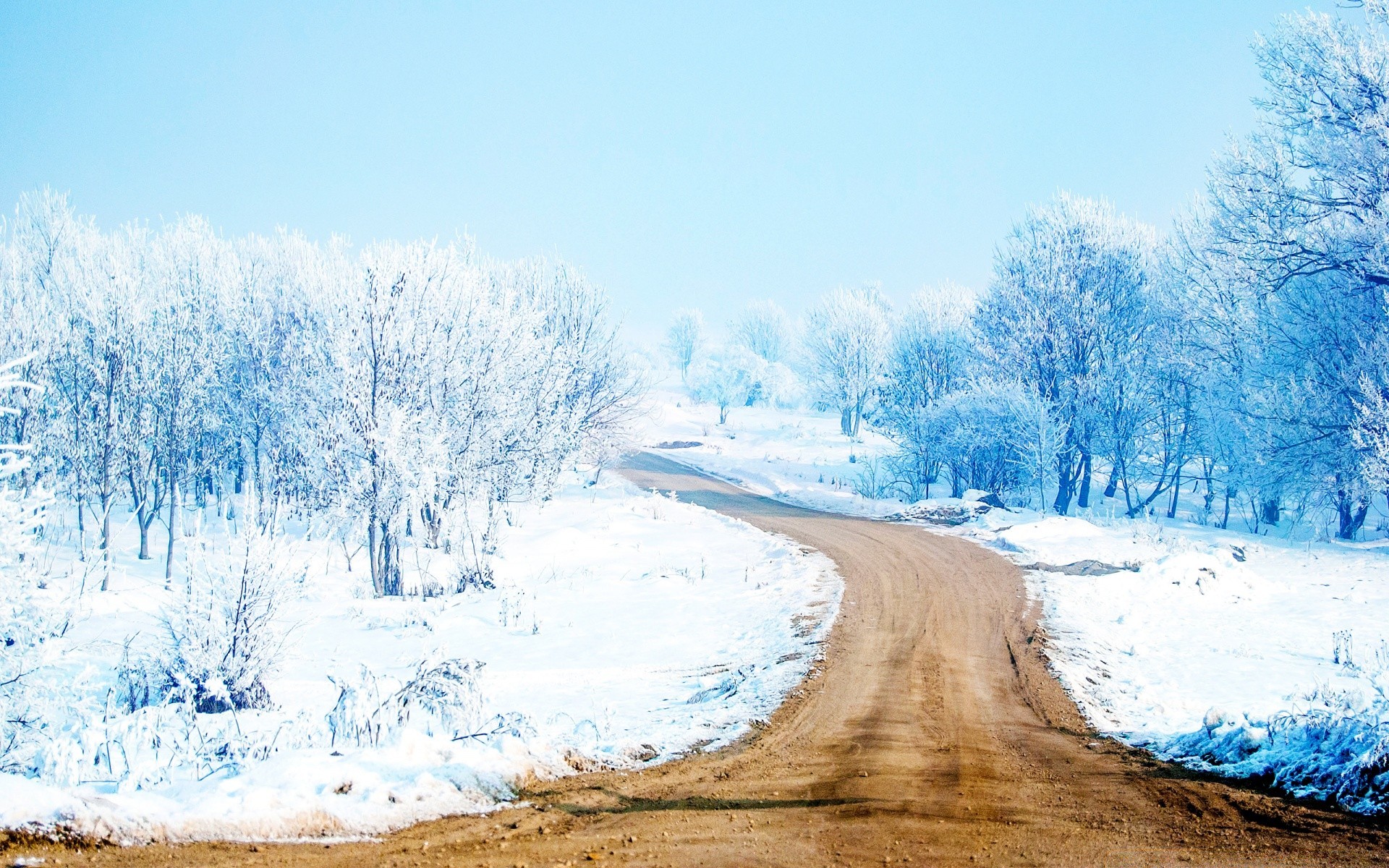 invierno nieve frío hielo paisaje escarcha congelado escénico tiempo naturaleza temporada árbol madera escarchado