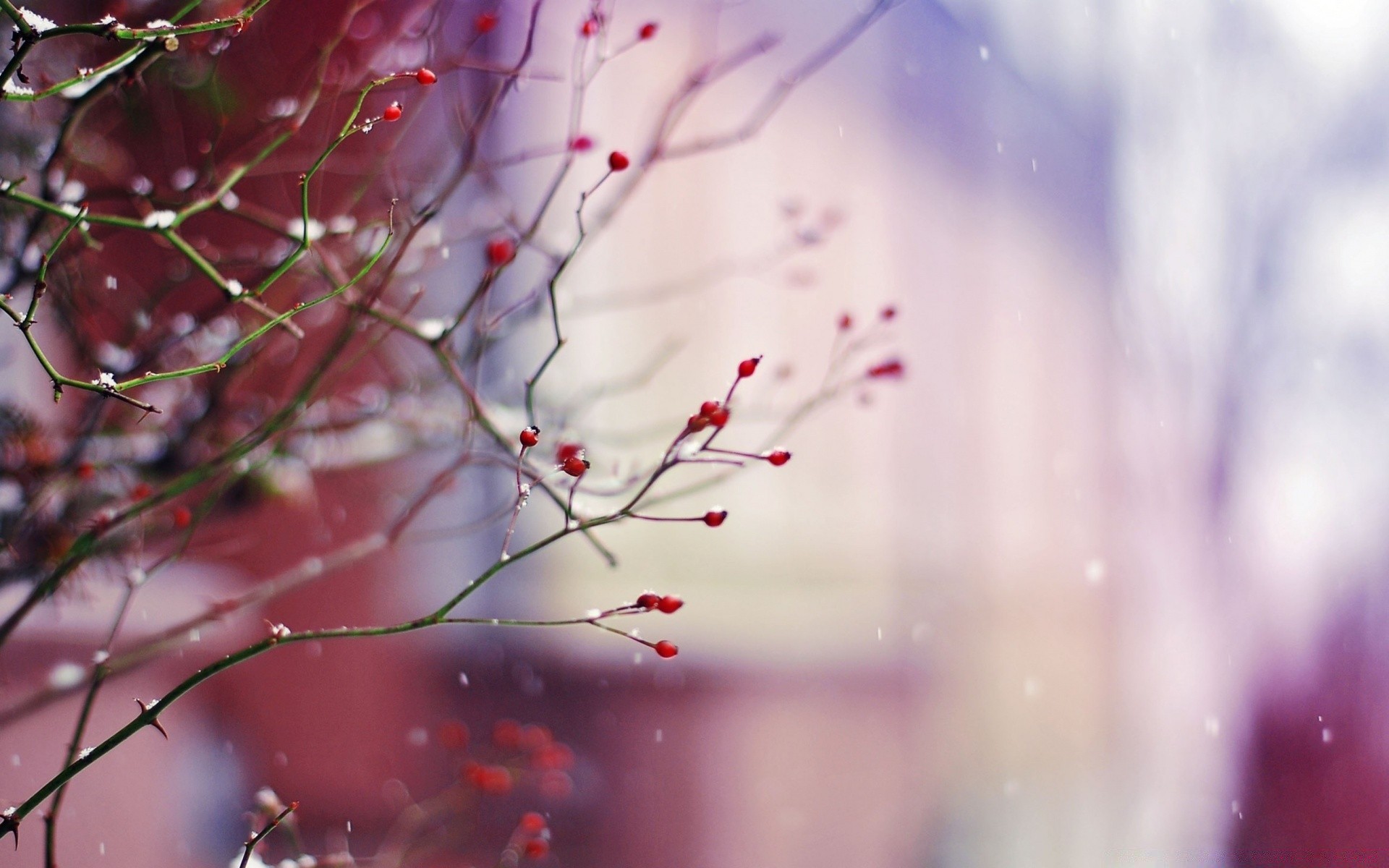 hiver résumé flou couleur art nature lumière bureau lumineux dof texture