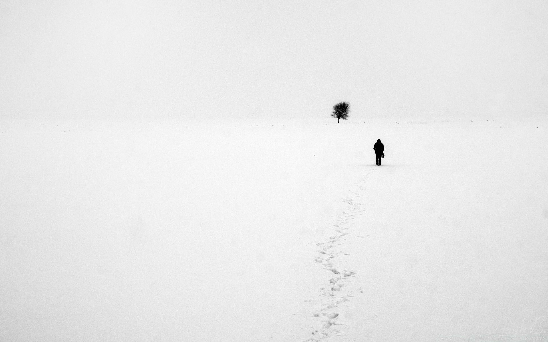 winter snow cold landscape outdoors action ice fog weather daylight one bird storm sky adult beach travel