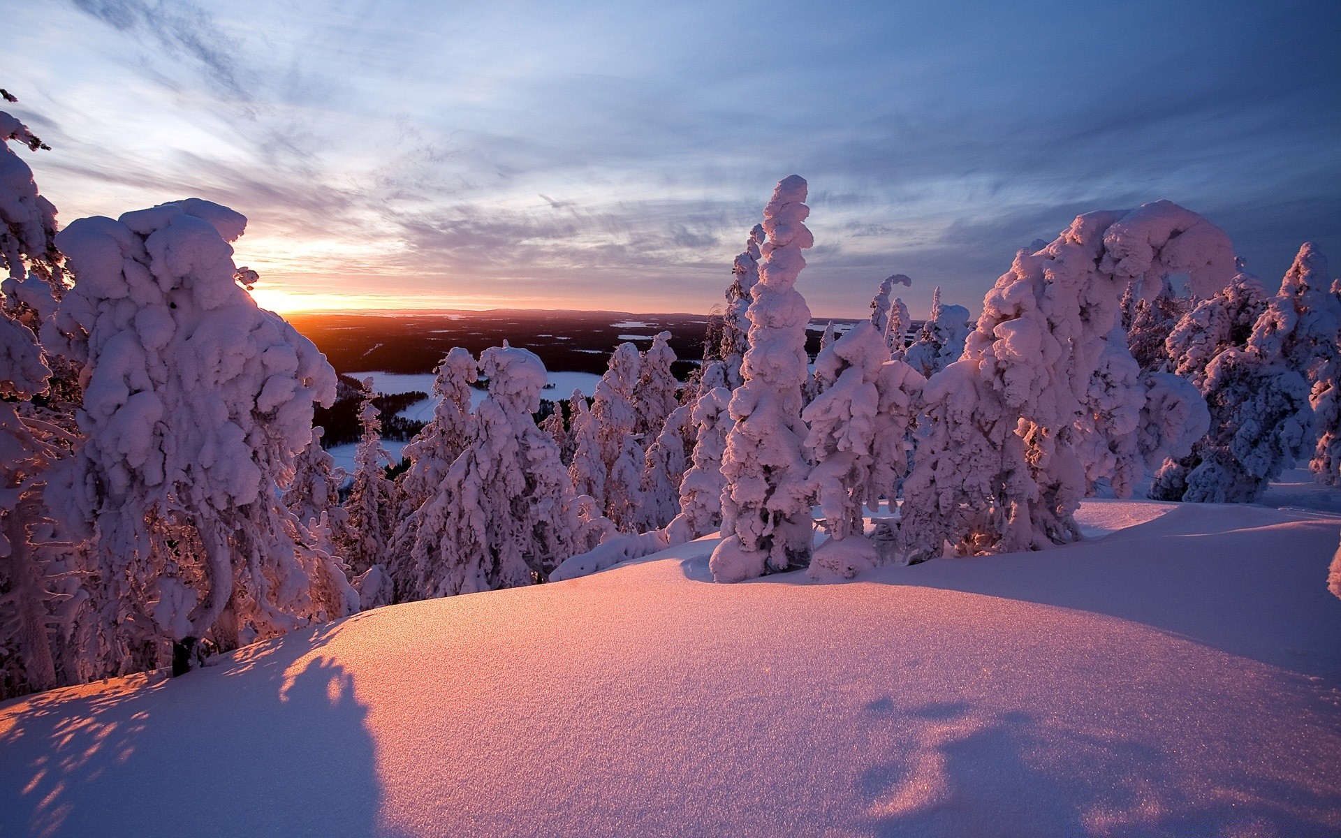 inverno neve freddo ghiaccio gelo alba congelato paesaggio tempo viaggi scenico tramonto cielo all aperto bel tempo natura