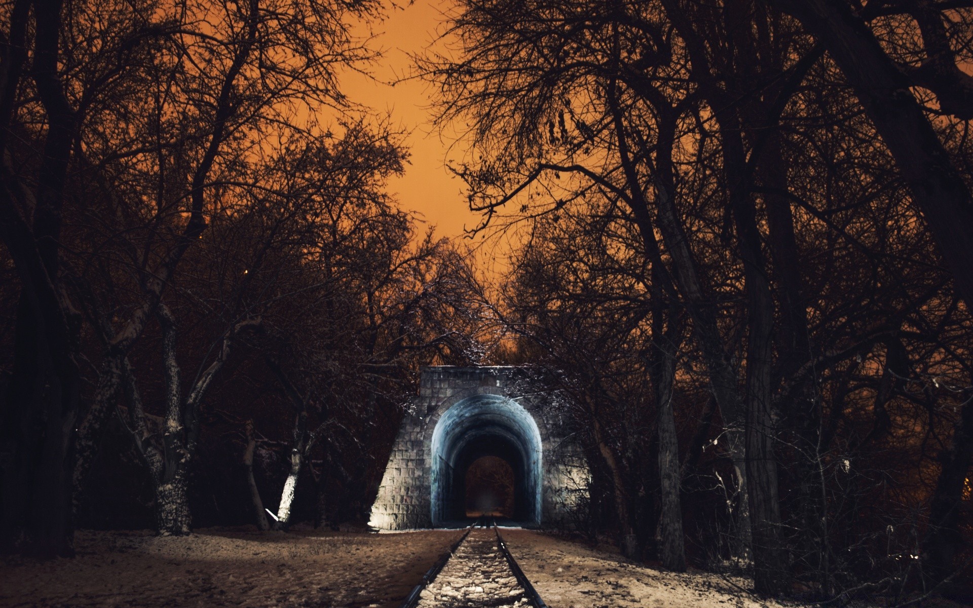 inverno árvore paisagem luz madeira parque outono natureza viagens sombra ao ar livre