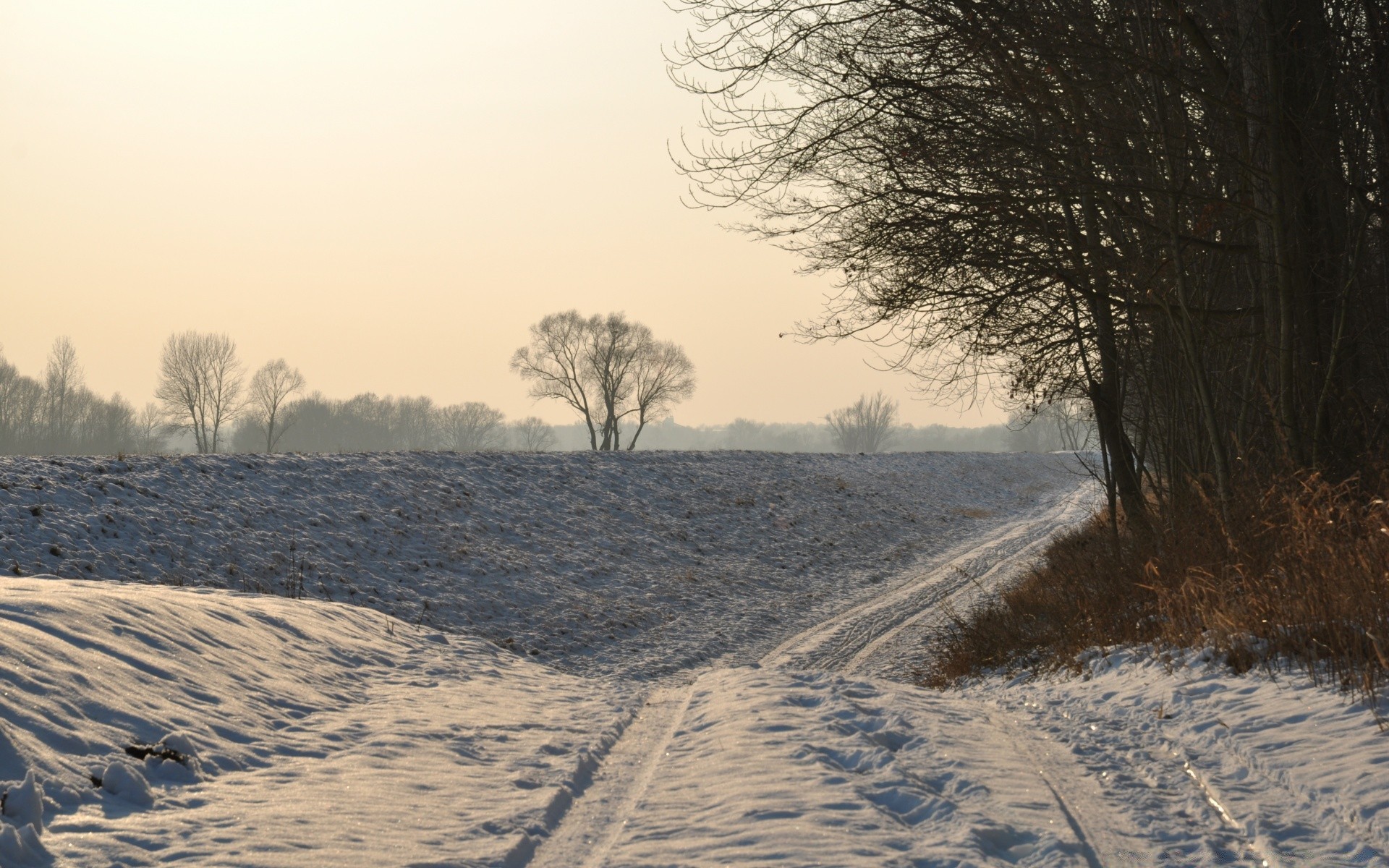 winter landscape snow tree road cold weather nature ice fog dawn frost outdoors frozen guidance wood environment