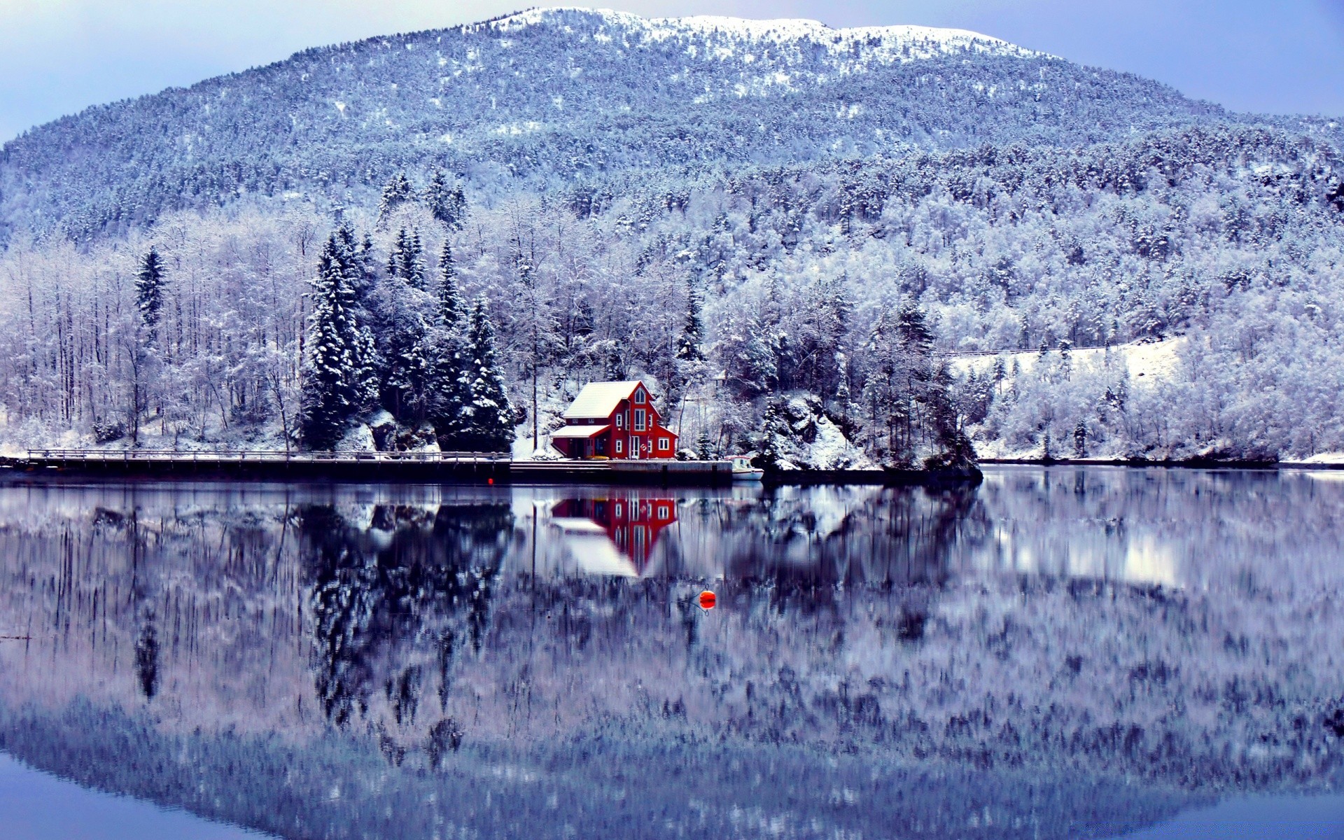 hiver neige froid bois glace paysage nature scénique montagnes lac gel eau saison bois congelés à l extérieur voyage ciel paysage