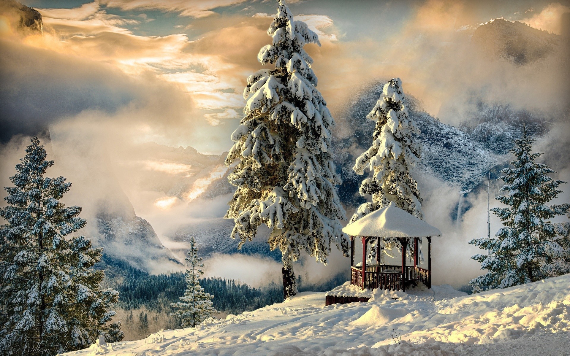 winter snow cold wood mountain tree ice landscape frost evergreen nature frozen weather sky scenic outdoors season