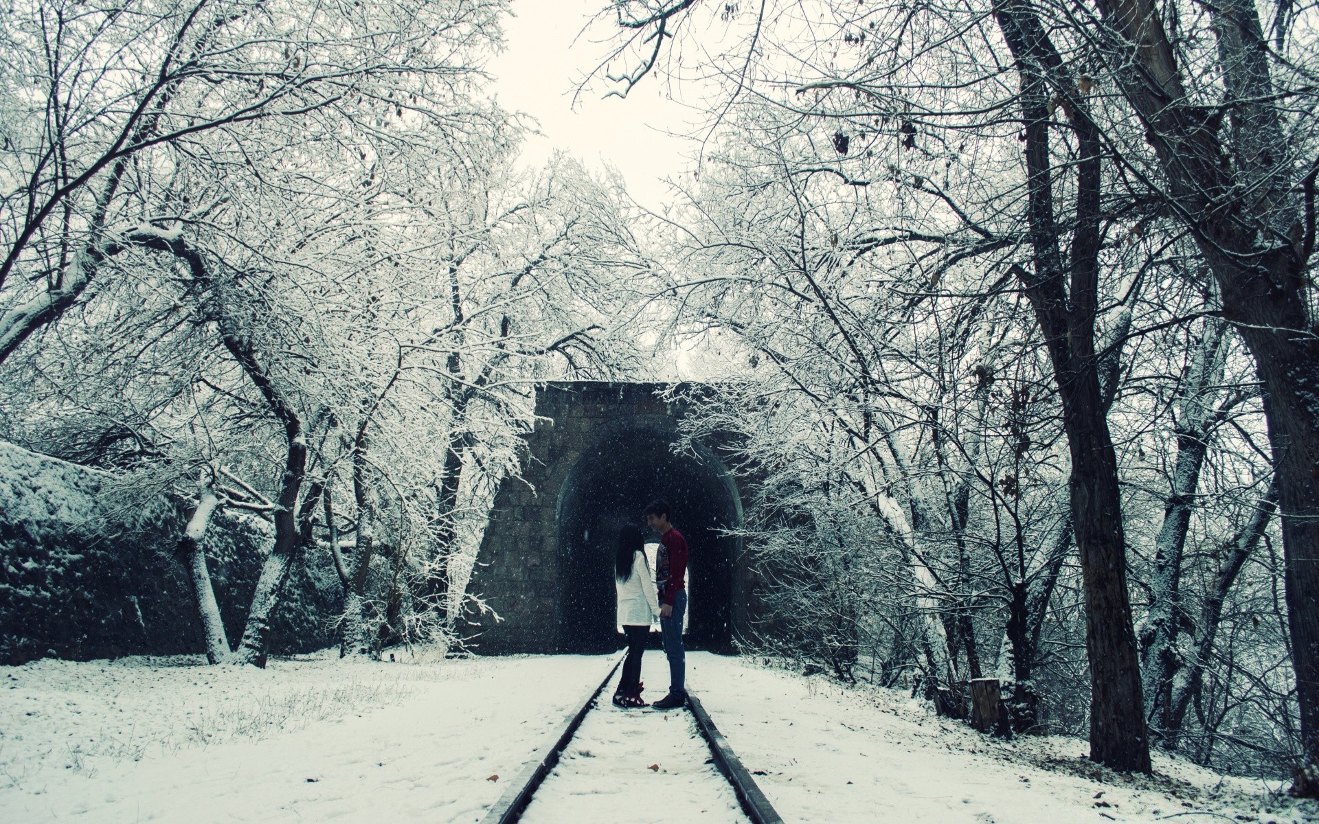 inverno neve madeira frio madeira geada estação congelado parque guia estrada paisagem ramo névoa gelo tempo caminho