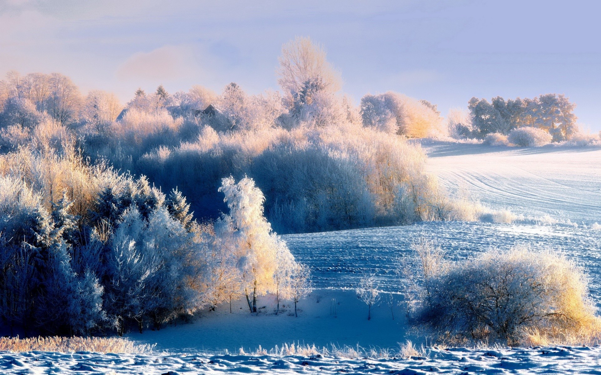 winter snow landscape frost frozen nature cold weather season ice wood scenic tree fair weather outdoors sky water dawn fog
