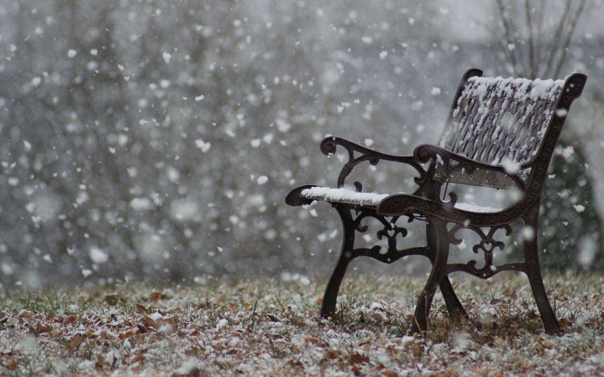 invierno nieve asiento frío banco madera naturaleza al aire libre temporada parque silla clima escarcha escritorio