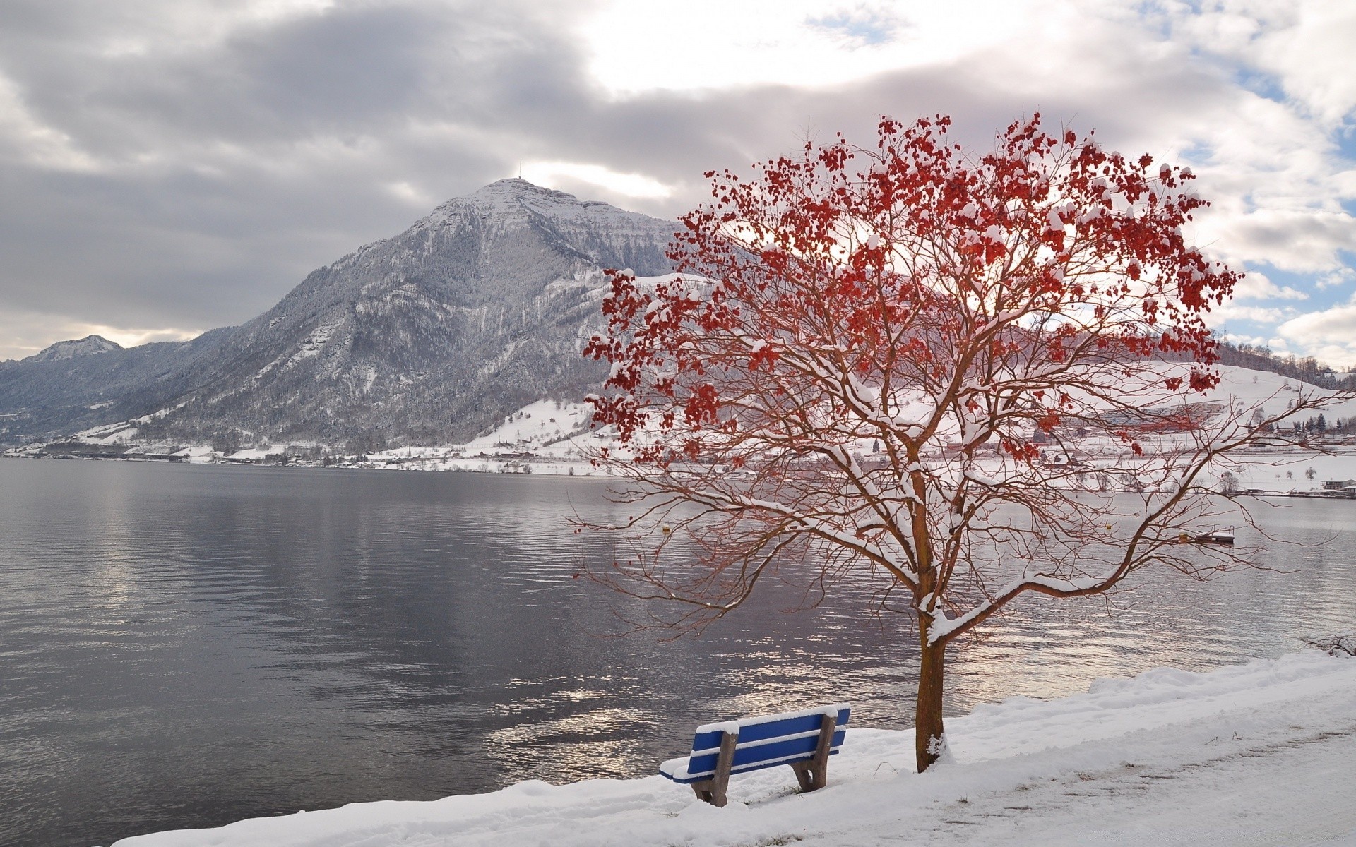 hiver neige paysage arbre froid scénique glace montagne bois eau lac voyage nature congelé saison